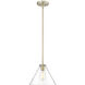 Aliza 1 Light 11.00 inch Pendant